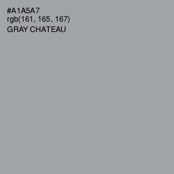 #A1A5A7 - Shady Lady Color Image